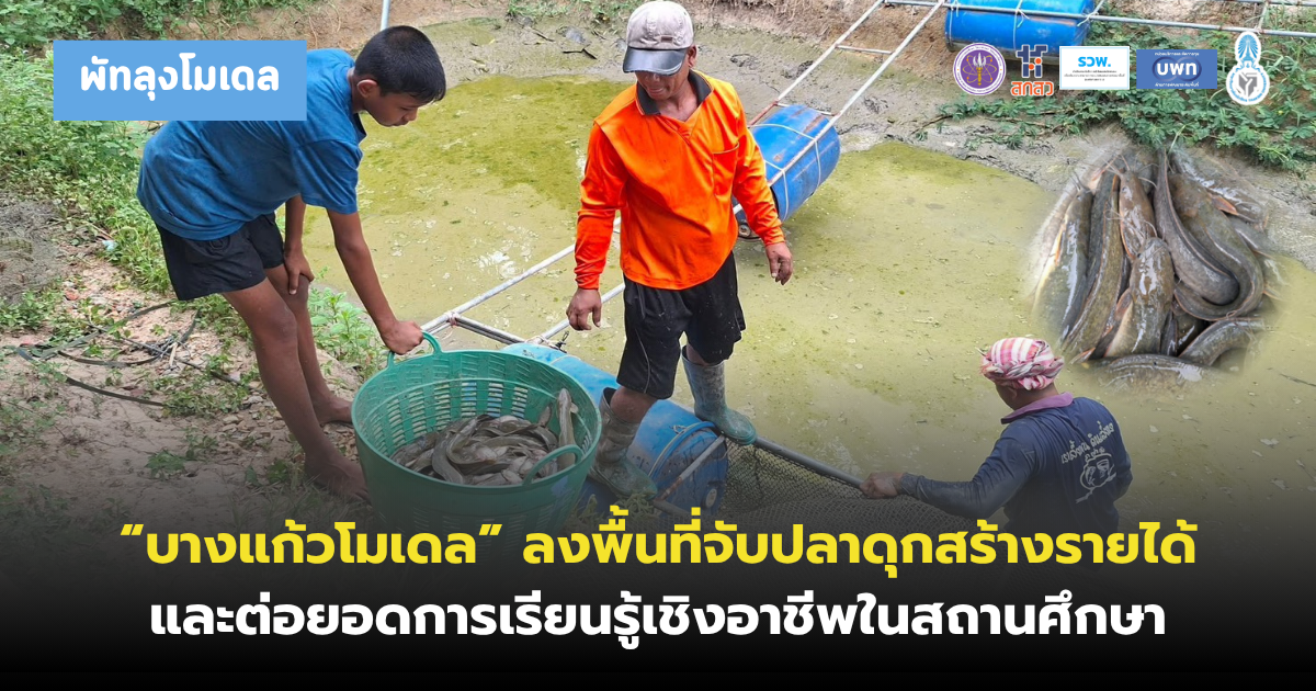 “บางแก้วโมเดล” ลงพื้นที่จับปลาดุก สร้างรายได้–ต่อยอดการเรียนรู้เชิงอาชีพในสถานศึกษา