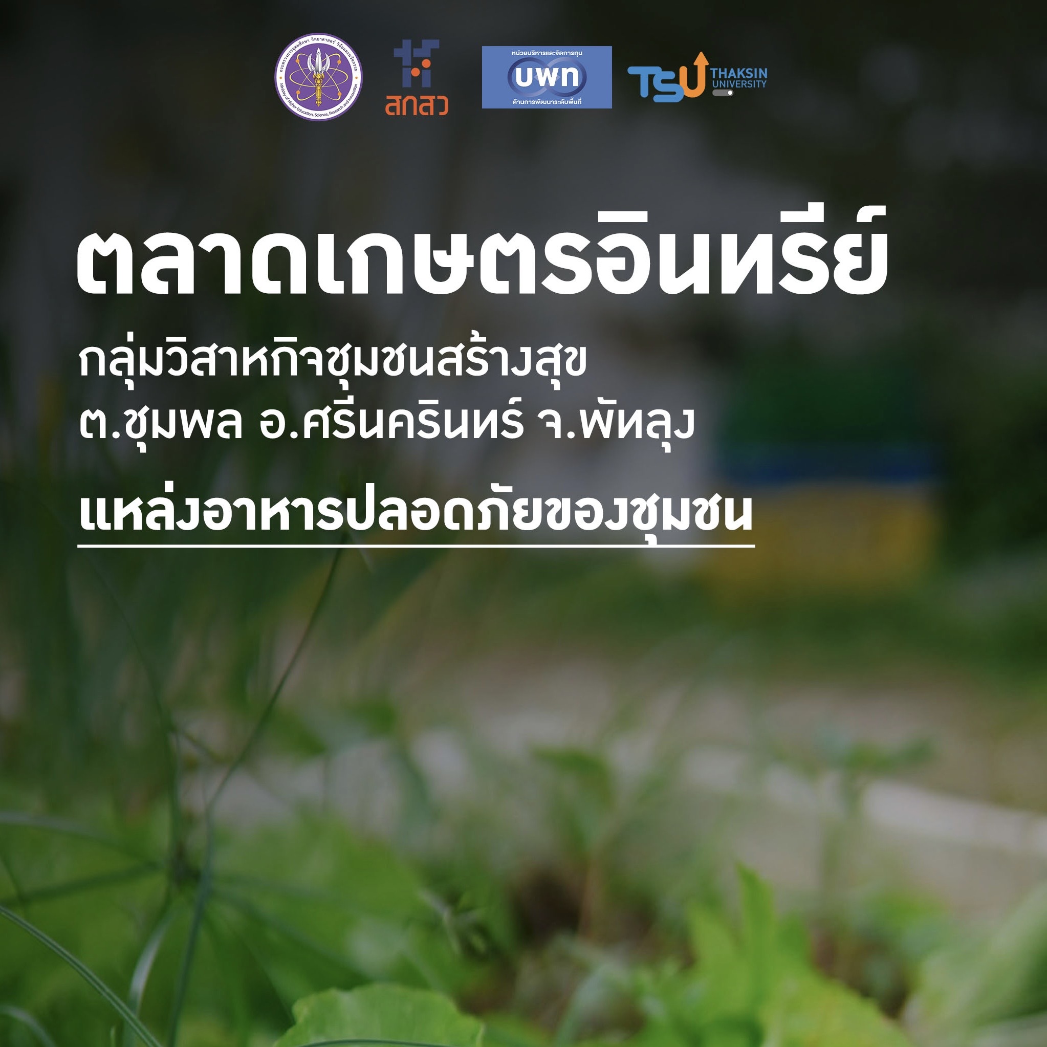 ตลาดเกษตรอินทรีย์ “#กลุ่มวิสาหกิจชุมชนสร้างสุข” ต.ชุมพล อ.ศรีนครินทร์ จ.พัทลุง เปิดพื้นที่แหล่งอาหารปลอดภัย เสริมเศรษฐกิจฐานรากอย่างยั่งยืน