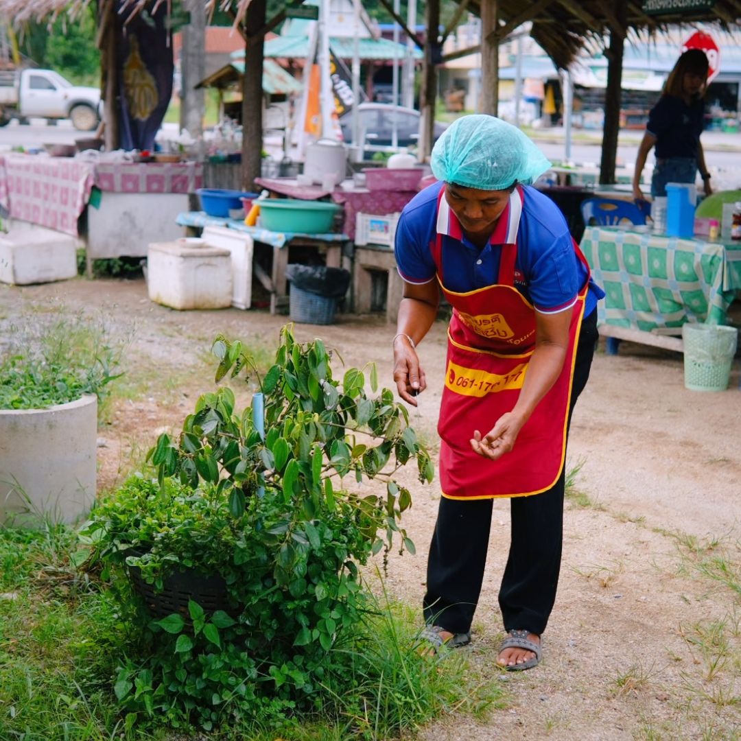 ตลาดเกษตรอินทรีย์ “#กลุ่มวิสาหกิจชุมชนสร้างสุข” ต.ชุมพล อ.ศรีนครินทร์ จ.พัทลุง เปิดพื้นที่แหล่งอาหารปลอดภัย เสริมเศรษฐกิจฐานรากอย่างยั่งยืน