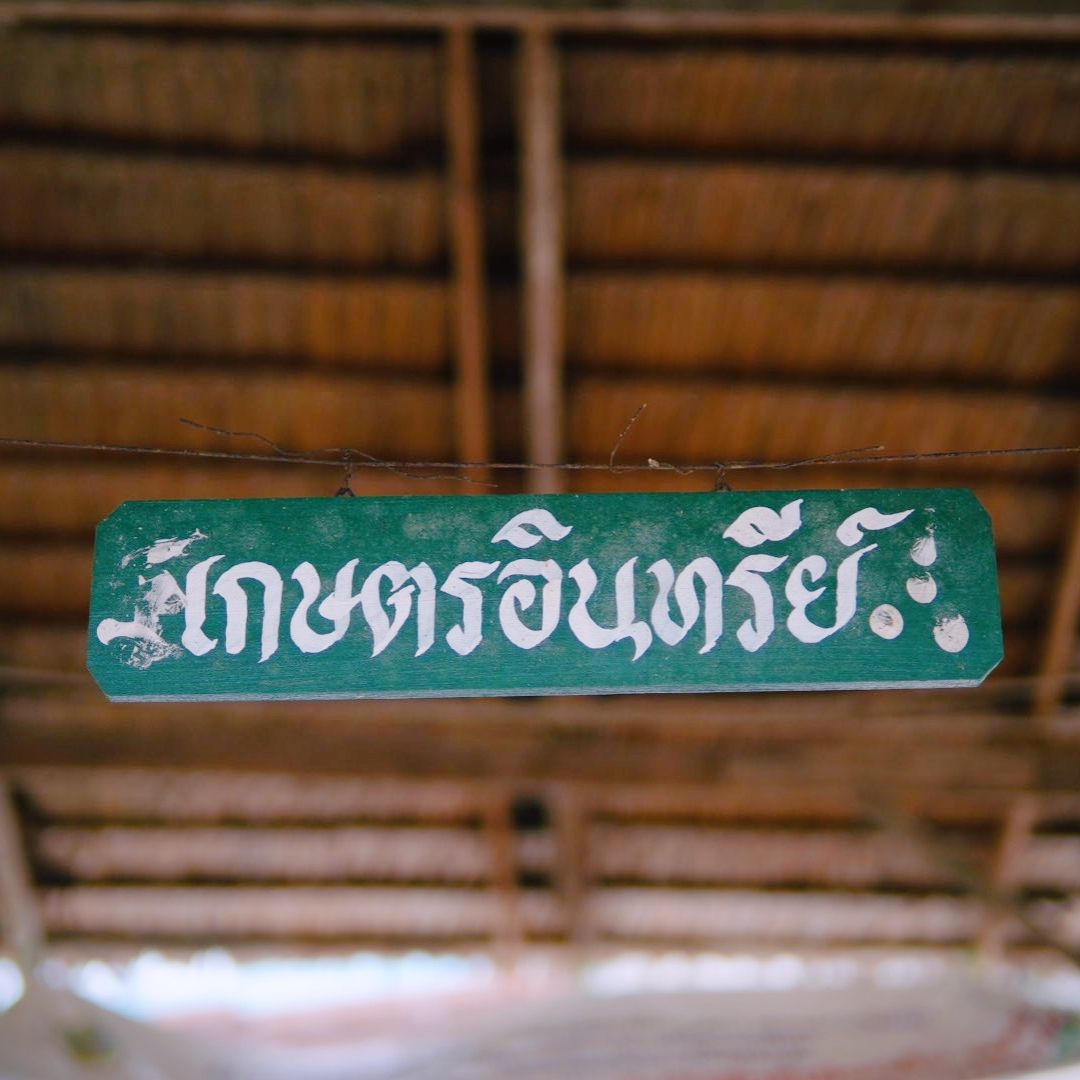 ตลาดเกษตรอินทรีย์ “#กลุ่มวิสาหกิจชุมชนสร้างสุข” ต.ชุมพล อ.ศรีนครินทร์ จ.พัทลุง เปิดพื้นที่แหล่งอาหารปลอดภัย เสริมเศรษฐกิจฐานรากอย่างยั่งยืน