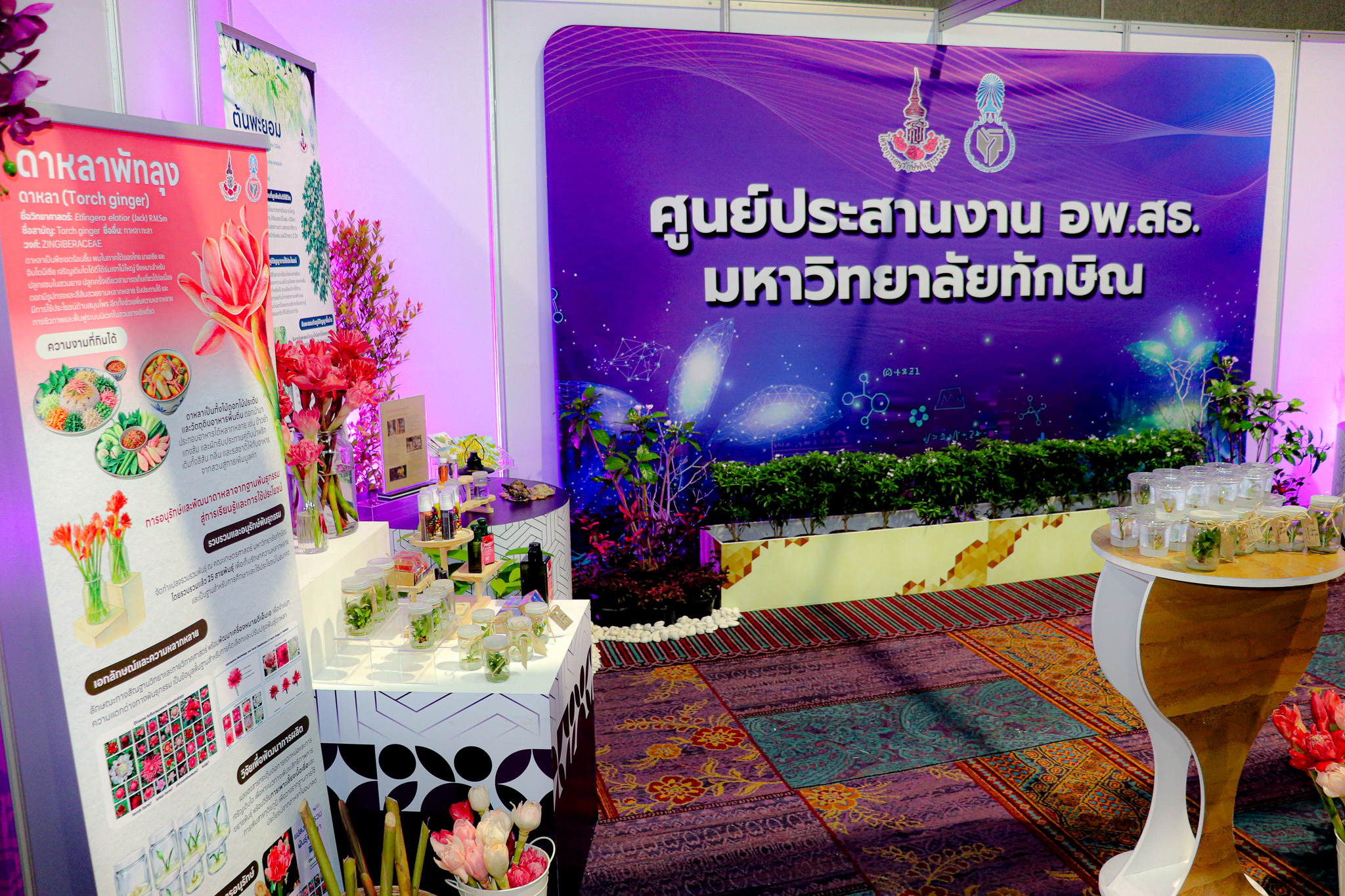 นิทรรศการศูนย์ประสานงาน อพ.สธ.-ม.ทักษิณ ชู 4 พืชพื้นถิ่นพัทลุง ถ่ายทอดคุณค่าทรัพยากรธรรมชาติ สู่การอนุรักษ์ วิจัย และนวัตกรรม