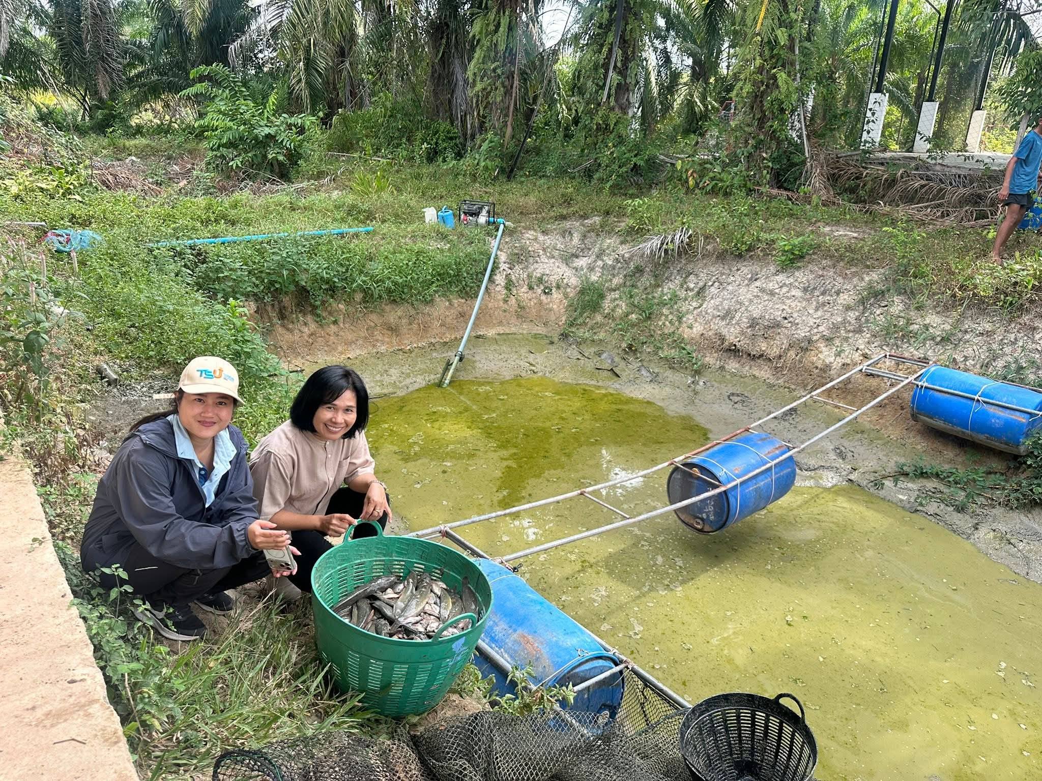 “บางแก้วโมเดล” ลงพื้นที่จับปลาดุก สร้างรายได้–ต่อยอดการเรียนรู้เชิงอาชีพในสถานศึกษา